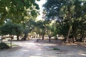 Acción Ciudadana propone remodelar las zonas de ocio en Algeciras