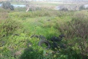 El PA exige "medidas urgentes" ante el vertido de neumáticos denunciado por El Acebuchal