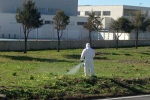 Acción Ciudadana demuestra que los herbicidas utilizados en Algeciras son "peligrosos"