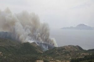 Incendio en la salida de Algeciras dirección Tarifa