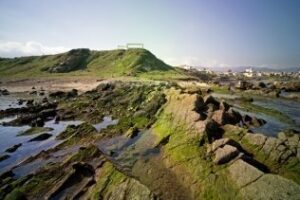 Landaluce afirma que el PP ha logrado que Algeciras sea una ciudad más verde