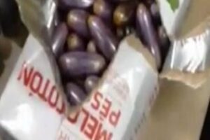 Detenidos dos hombres que escondían bellotas de hachís en un tetrabrik de zumo y tres cajas de galletas