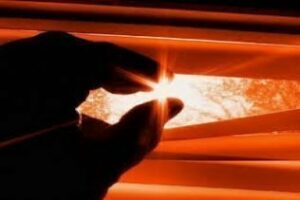 Editorial: ¿A quién molesta la verdad?