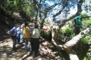 Reanudarán las obras en el camino de los prisioneros de Algeciras la próxima semana