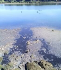 La AAVV El embarcadero denuncia vertidos de fecales de Emalgesa al río Palmones