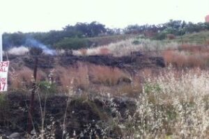 Sofocado un pequeño incendio en la zona de Pajarete