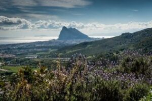 Gibraltar interviene 120.000 cigarrillos y detiene a seis personas