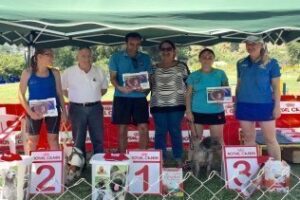 El Club de Agility Canino Algecireño ya celebra pruebas nacionales