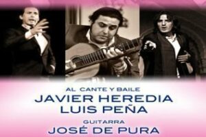 La Sociedad del Cante Grande de Algeciras celebra el viernes su Noche por Bulerías