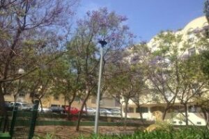 La AVV Manuel de Falla se siente "marginada por el ayuntamiento"