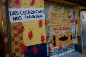 Vecinos de Virgen de Carmen denuncian plaga de cucarachas en sus portales