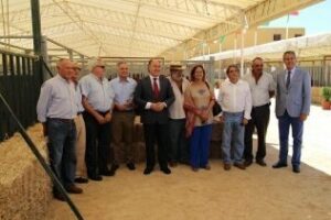 Inaugurada la 166º Feria de Ganado, que incorpora este año la raza cárdena andaluza