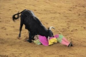 Clase práctica de los alumnos de la Escuela Municipal de Tauromaquia (fotos interior)