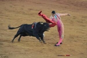 Como lo vi lo cuento (fotos): Novillada de lujo de Fuente Ymbro con Luz y López Puertas de Feria