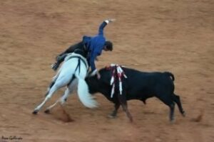 Mendoza, Fandi y Talavante abren la Puerta Grande (fotos interior)