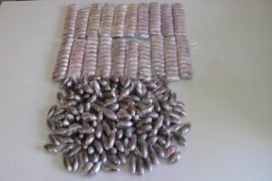 Detenido en Algeciras con 183 bellotas de hachís