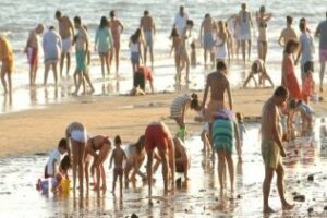 Se inicia la campaña para evitar la extracción ilegal de coquina