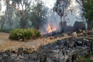 Agaden pide al Ayuntamiento y a la Junta que se personen como acusación particular en el juicio contra el pirómano