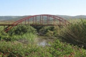 La delegación de Parques y Jardines acomete la limpieza y desbroce del parque fluvial del río Pícaro