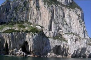 Se captura por primera vez en la Cueva de Gorham una especie esquiva de murciélago