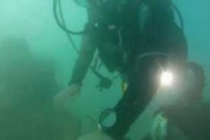 Concluida la Romería 2015 con la inmersión de la Virgen