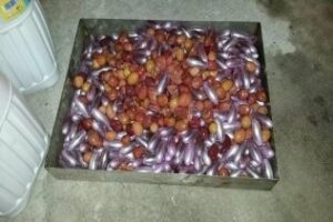 La Guardia Civil interviene 1.284 bellotas de hachís en garrafas de aceitunas