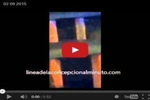 Nuevas imágenes de lo ocurrido en la playa de Poniente de La Línea