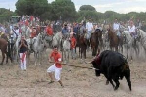 Verano sangriento.Por: Ángel Luis Jiménez