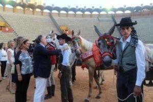 Pistoletazo de salida a Algeciras Entremares 2015"