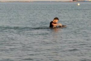 Un bañista trata de salvar al "delfín de Getares"