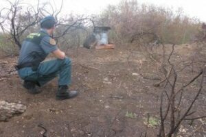 Imputado el presunto autor de diez incendios forestales en Algeciras, los provocaba como venganza a las multas