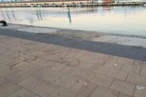 El Psoe vuelve a exigir medidas urgentes en la limpieza de Algeciras