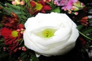 El horno crematorio del cementerio de Botafuegos estará cerrado un mes