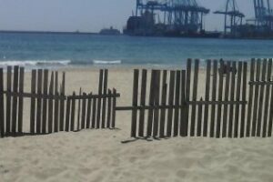 IU hace un llamamiento al diálogo para solventar el conflicto en la limpieza de playas