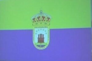 Bandera y Escudo para ser símbolo de la unidad de la comarca