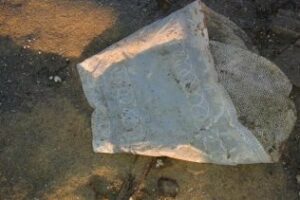 "Somos Tarifa" siente vergüenza propia