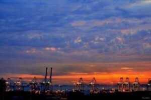 Incómoda ¿Mermar el puerto por falta de electricidad?