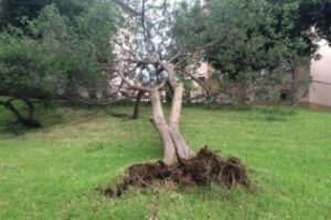 Tromba de agua en la comarca