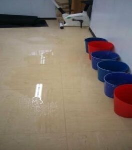 El Psoe reclama a Landaluce la mejora de la atención a Apadis