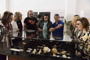 Amigos de la Ciencia" inaugura su exposición de conchas marinas