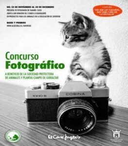 Concurso fotográfico de mascotas No soy un juguete, soy uno más de la familia"