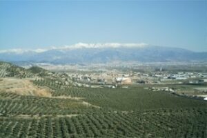 El mejor Puente de la Constitución de los últimos tres años en turismo rural