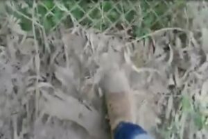 Verdemar denuncia vertidos al aire de ceniza de Acerinox (video)