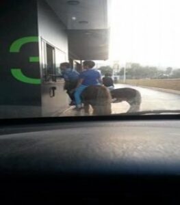 La imagen CNE: Comida a caballo en Algeciras