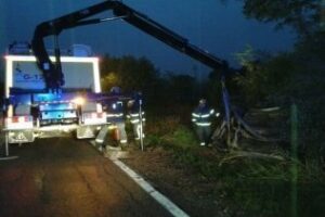 Rescatado un conductor y dos perros atrapados tras salirse de la vía