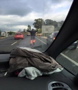 La imagen CNE: Un caballo suelto a punto de provocar un accidente en el Saladillo