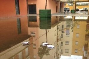 Manuel de Falla reclama un plan de limpieza eficaz de los husillos