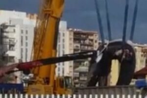 Encuentran una ballena muerta en el puerto de Algeciras
