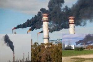 Yo reportero: Mis empleados se niegan a trabajar en el campo de Gibraltar