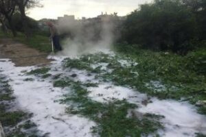 Parques y Jardines prueba un nuevo herbicida